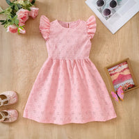 Girls Pink Schiffli Embroidered Fit & Flare Dress with Flutter Sleeves Casual Dresses Pink 3-4 Y