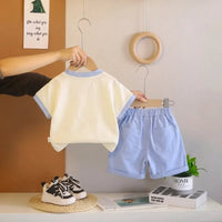 Boys Blue Dinosaur Printed T-Shirt With Shorts Sets Sets