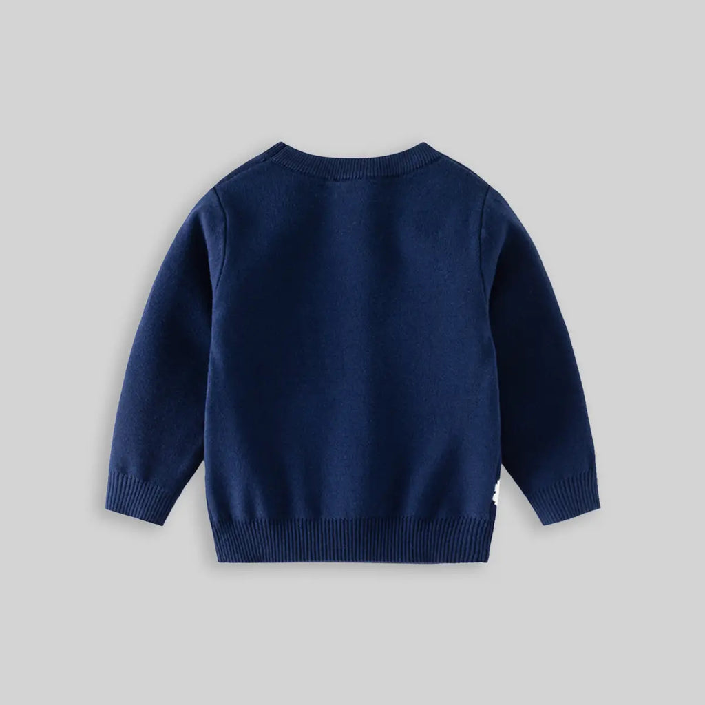 Boys Navy Blue Long Sleeve Dinosaur Cartoon Graphic Sweater Sweaters & Cardigans