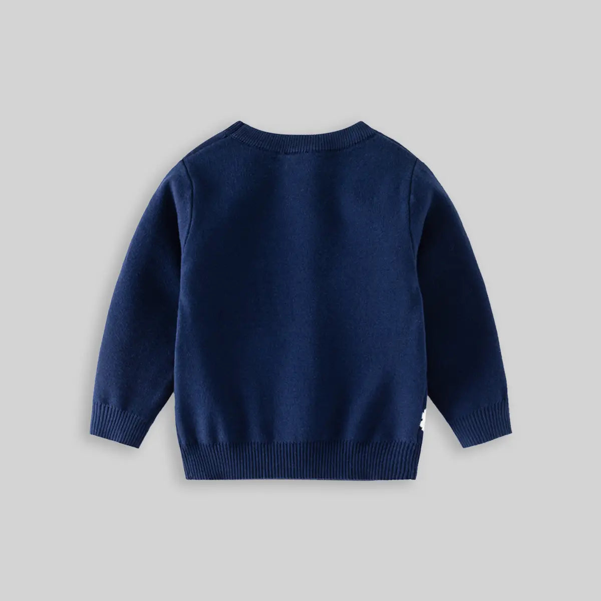 Boys Navy Blue Long Sleeve Dinosaur Cartoon Graphic Sweater Sweaters & Cardigans