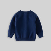 Boys Navy Blue Long Sleeve Dinosaur Cartoon Graphic Sweater Sweaters & Cardigans