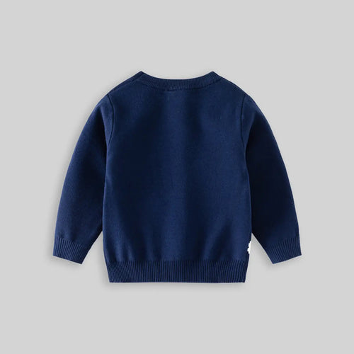 Boys Navy Blue Long Sleeve Dinosaur Cartoon Graphic Sweater Sweaters & Cardigans