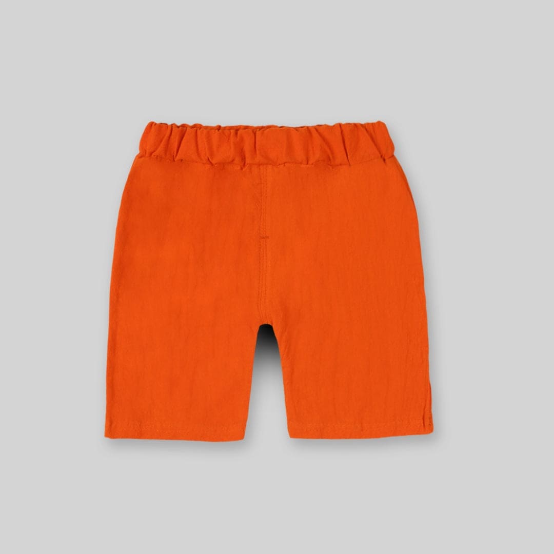 Boys Light Blue Two Piece Set with Dinosaur Print Sets   
