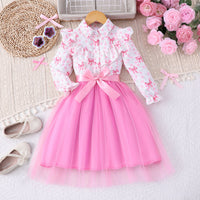 Girls Pink Bow Printed Fit & Flare Winter Casual Dress Casual Dresses Pink 2-3 Y