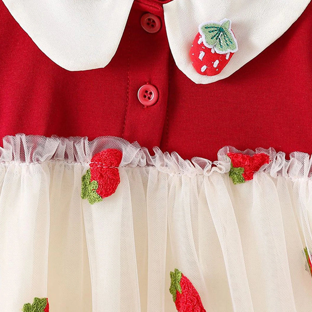 Girls Red Strawberry Embroidered Fit & Flare Dress Casual Dresses