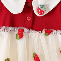 Girls Red Strawberry Embroidered Fit & Flare Dress Casual Dresses