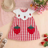 Girls Red Checked A-line Dress With Strawberry Patch Embroidery