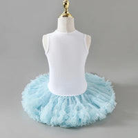 Girls Flower Applique Top With Sky Blue Tiered Tulle Skirts Set Sets