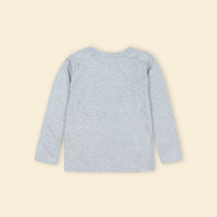 Boys Grey Melange Full Sleeves Dinosaur Print T-shirt T-Shirt
