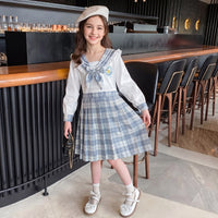 Girls Blue Checked Long Sleeve Fit & Flare Dress Casual Dresses Blue 3-4 Y