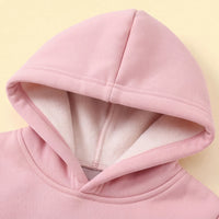 Girls Pink Embroidered Regular Sweatshirt With Sleeveless Jackets, Pants & Bag Sets 4 pc. Sets
