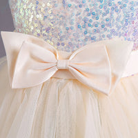 Girls Champagne Sequin Embellished Tutu Party Wear Dress Party Dresses