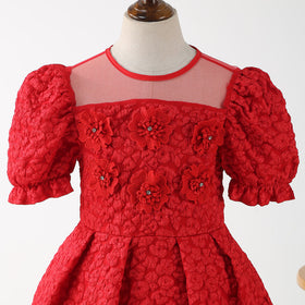 Girls Red Puff Sleeve Fit & Flare Textured Dress Casual Dresses