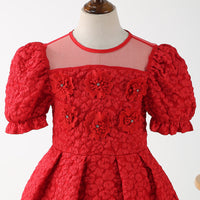Girls Red Puff Sleeve Fit & Flare Textured Dress Casual Dresses
