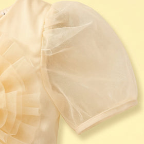 Girls Yellow Floral Applique Puff Sleeve Fit & Flare Party Dress Party Dresses