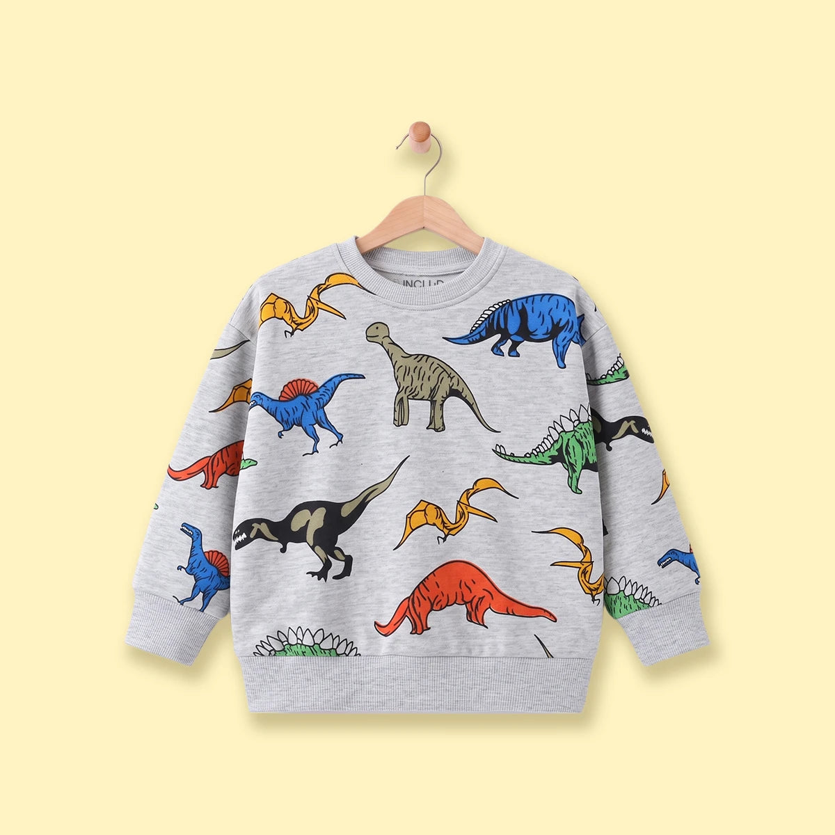 Boys Grey Dinosaur Print Round Neck Sweatshirt Sweatshirts & Hoodies Grey 1-2 Y