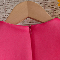 Girls Fuchsia Sleeveless A-line Party Wear Dress With Floral Applique Party Dresses