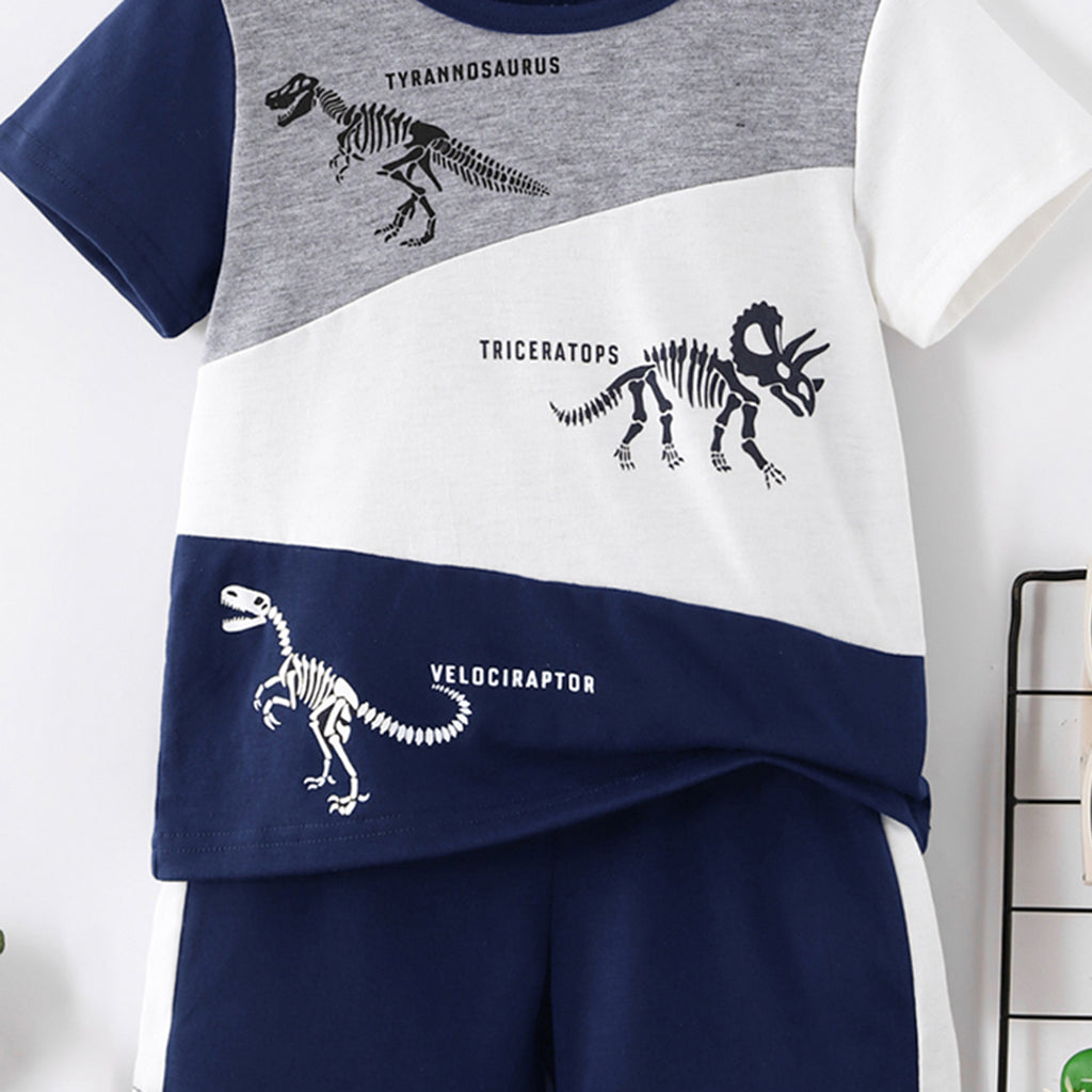 Boys Navy Blue Dinosaur Graphic Short Sleeve T-Shirt With Shorts Set 2 pc. Sets