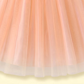 Girls peach sleeveless party gown with floral waist and tulle
