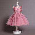 Girls Embroidered Fit & Flare Party Dress Party Dresses Pink 1-2 Y