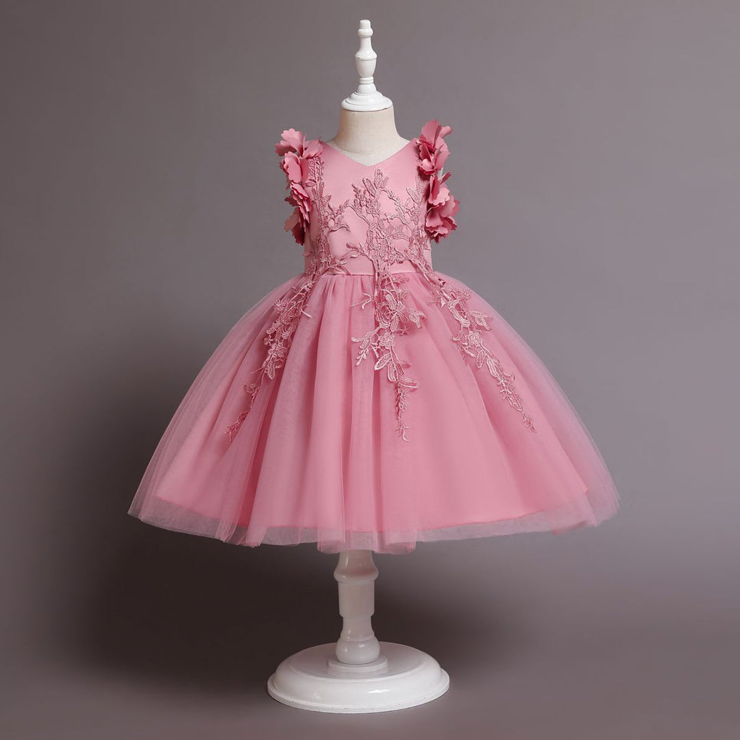 Girls Embroidered Fit & Flare Party Dress Party Dresses Pink 1-2 Y