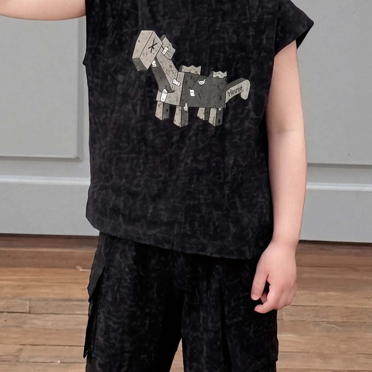 Boys Black Dinosaur Graphic T-Shirt With Shorts Sets Sets