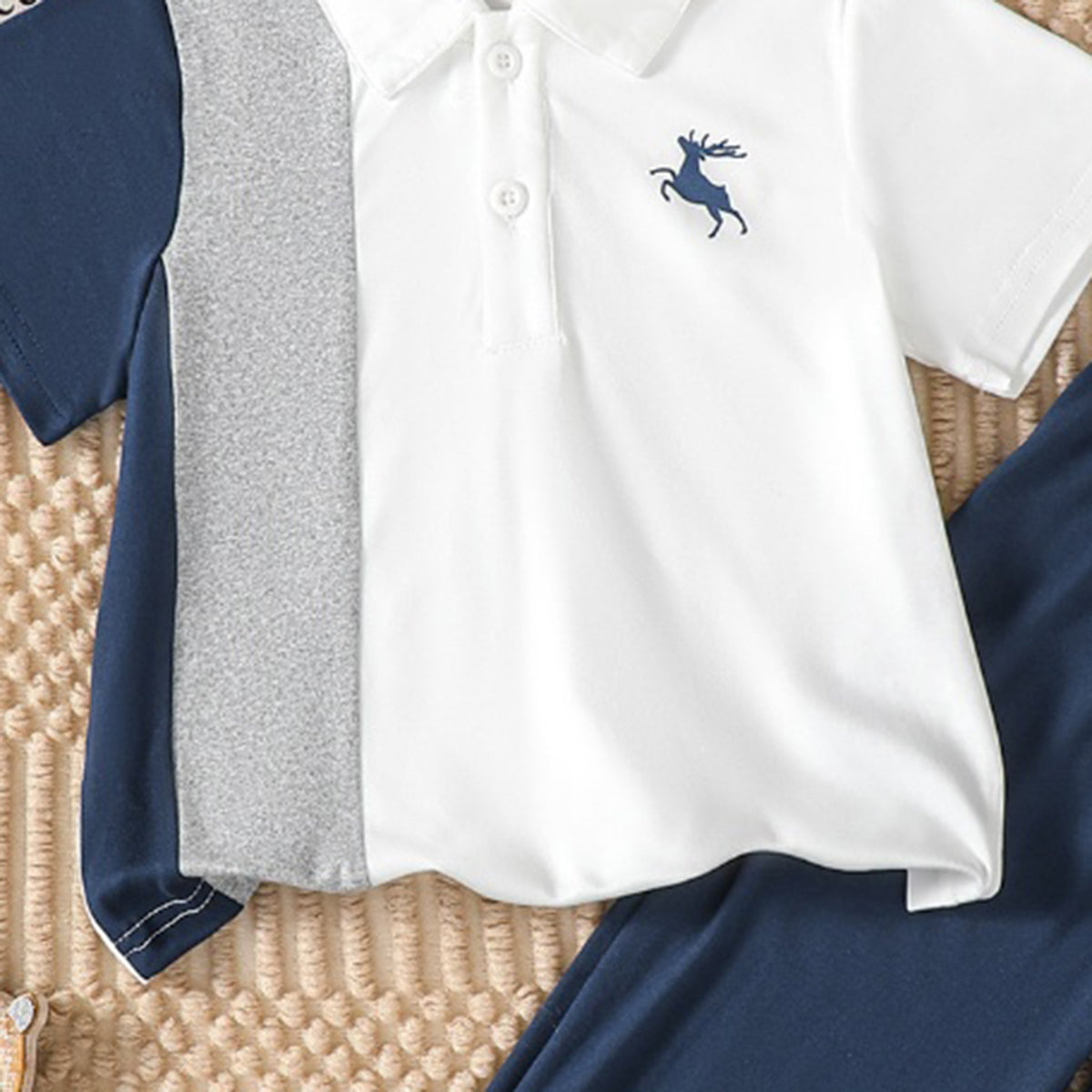 Boys Multicolor Short Sleeves Polo T-Shirt With Bottom Elasticated Pants Set 2 pc. Sets