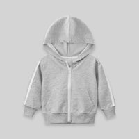 Boys Green Long Sleeves Solid Hooded Sweatshirt Sweatshirts & Hoodies Grey 1-2 Y 
