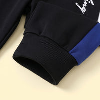 Boys Multicolor Hooded Sweatshirt With Joggers Sets Sets