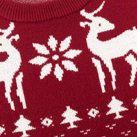 Girls Cute Christmas Reindeer Jacquard knit Sweater Sweaters & Cardigans