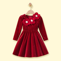 Girls Red Floral Applique Fit & Flare Dress Casual Dresses Red 3-4 Y
