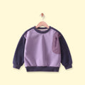 Boys Purple Colourblocked Long Sleeve Sweatshirt Sweatshirts & Hoodies Purple 1-2 Y