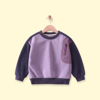 Boys Purple Colourblocked Long Sleeve Sweatshirt Sweatshirts & Hoodies Purple 1-2 Y