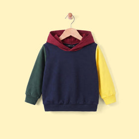 Boys Multicolour Colour-blocked Long Sleeve Hooded Sweatshirt Sweatshirts & Hoodies Multicolor 3-4 Y