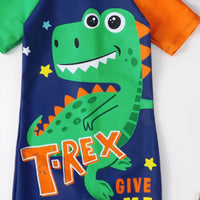 Boys Navy Blue Dinosaur Cartoon Print Swimwear Bodysuit With Swim Cap Beachwear