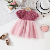 Girls Peach Floral Appliqued Fit & Flare Party Wear Dress Party Dresses
