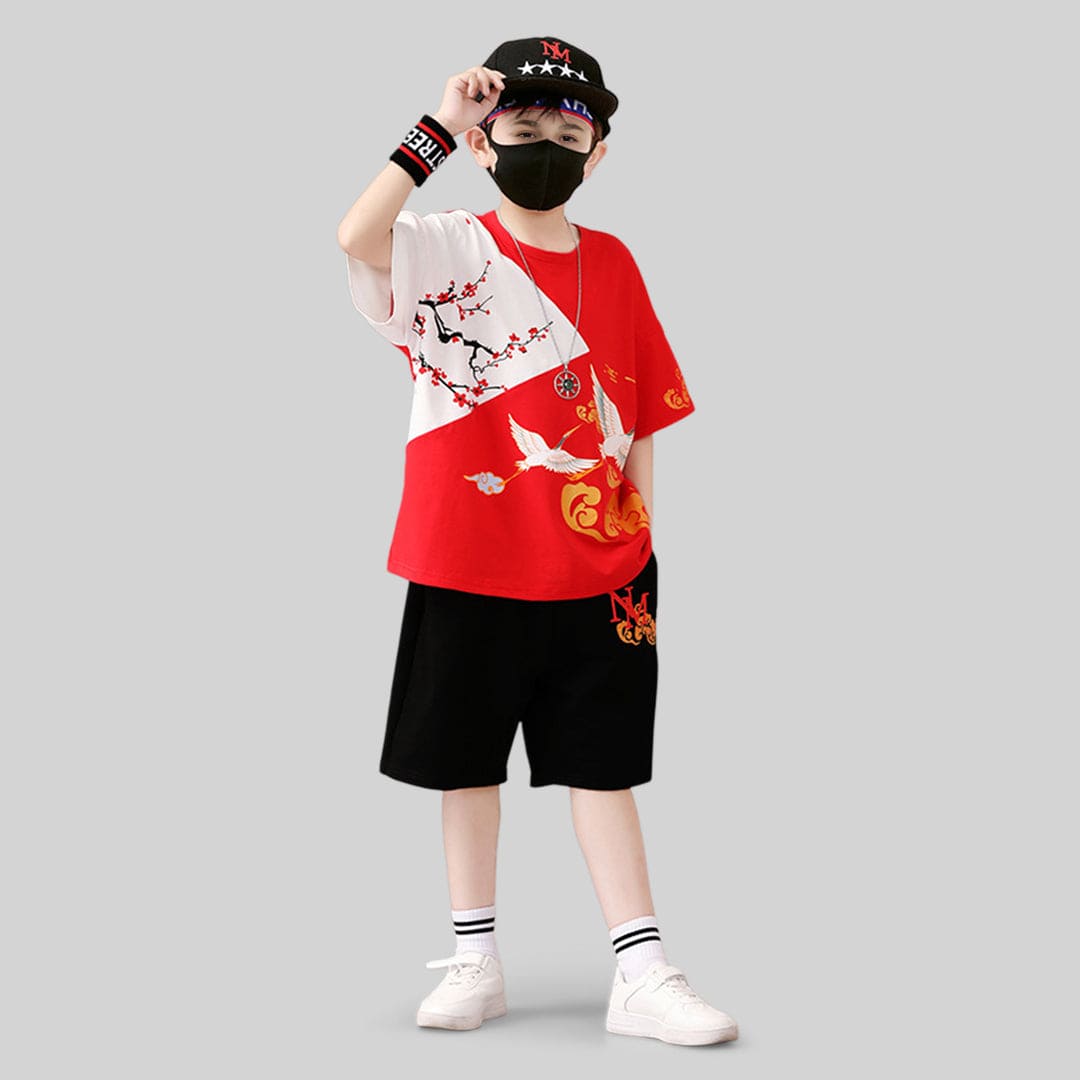 Boys Graphic Short Sleeve T-Shirt With Shorts 2 pc. Sets   