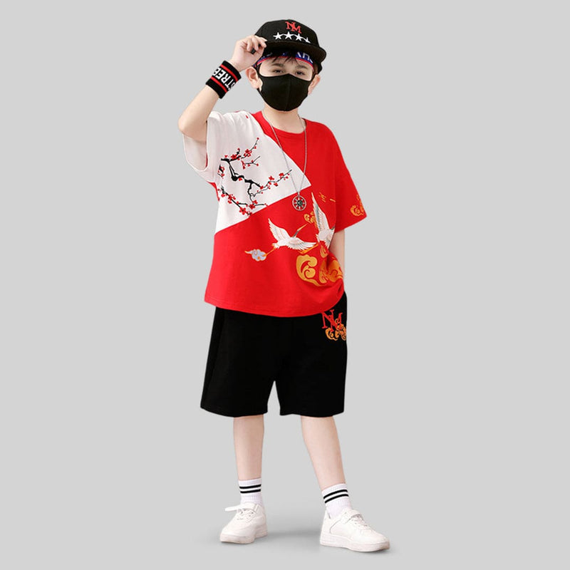 Boys Graphic Short Sleeve T-Shirt With Shorts 2 pc. Sets   