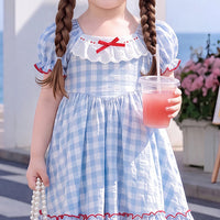 Girls Blue Checked Puff Sleeve Flared Dress Casual Dresses