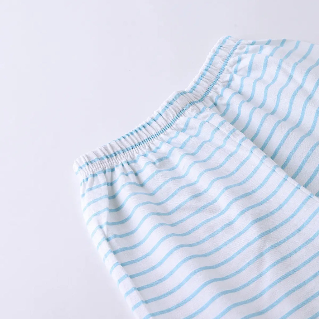 Boys Sky Blue Animal Graphics Short Sleeve T-Shirt With Striped Drawstring Shorts Sets Sets