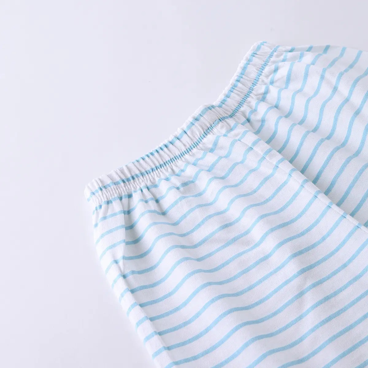 Boys Sky Blue Animal Graphics Short Sleeve T-Shirt With Striped Drawstring Shorts Sets Sets