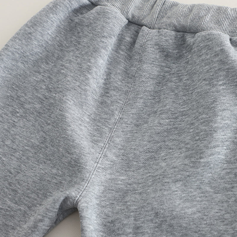 Boys Grey Cat Face Appliqued Sweatshirt With T-Shirt And Pants Set 3 pc. Sets