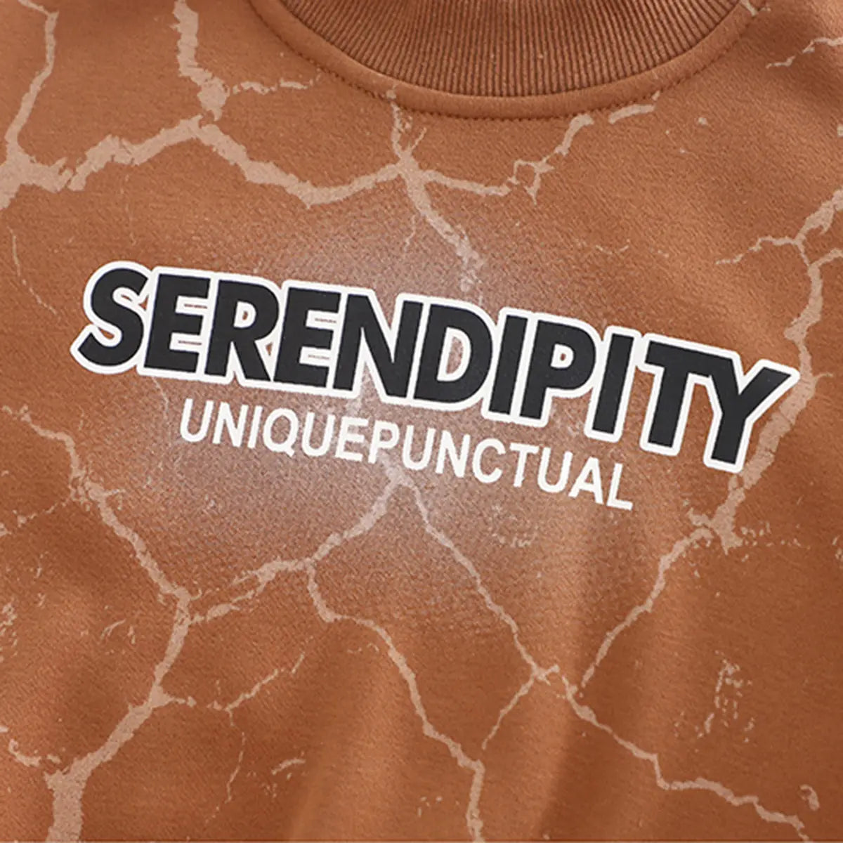 Boys Brown Printed Regular Sweatshirt With Pants Sets 2 pc. Sets