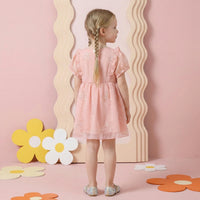 Girls Pink Embroidered Fit & Flare Dress With Puff Sleeves Casual Dresses