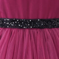 Girls Dark Pink Floral Applique Fit & Flare Party Dress Party Dresses