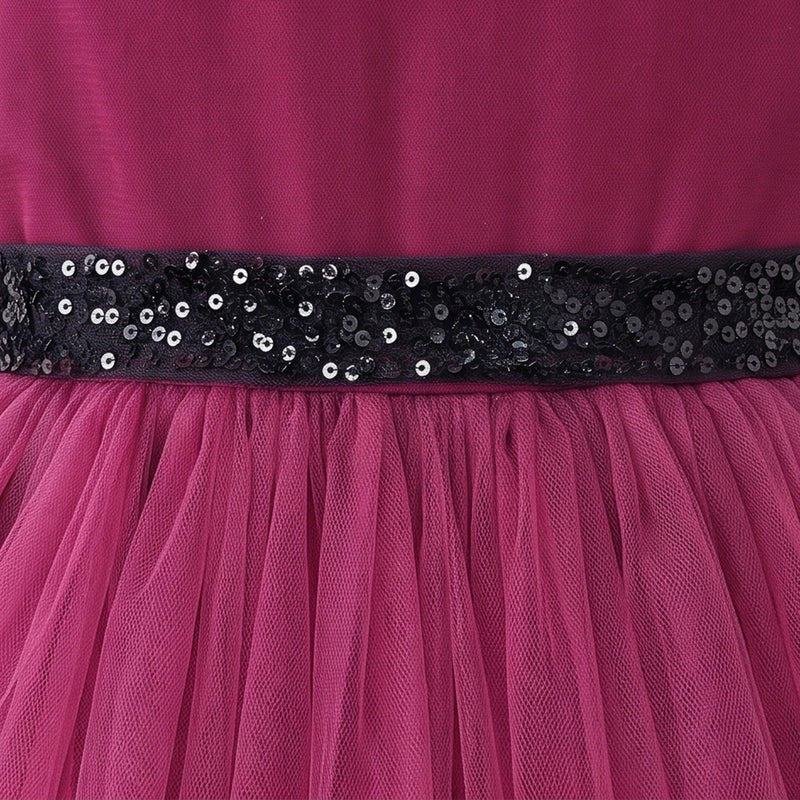 Girls Dark Pink Floral Applique Fit & Flare Party Dress Party Dresses
