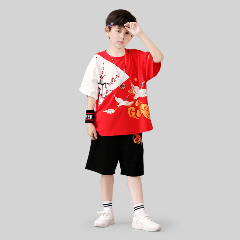 Boys Graphic Short Sleeve T-Shirt With Shorts
