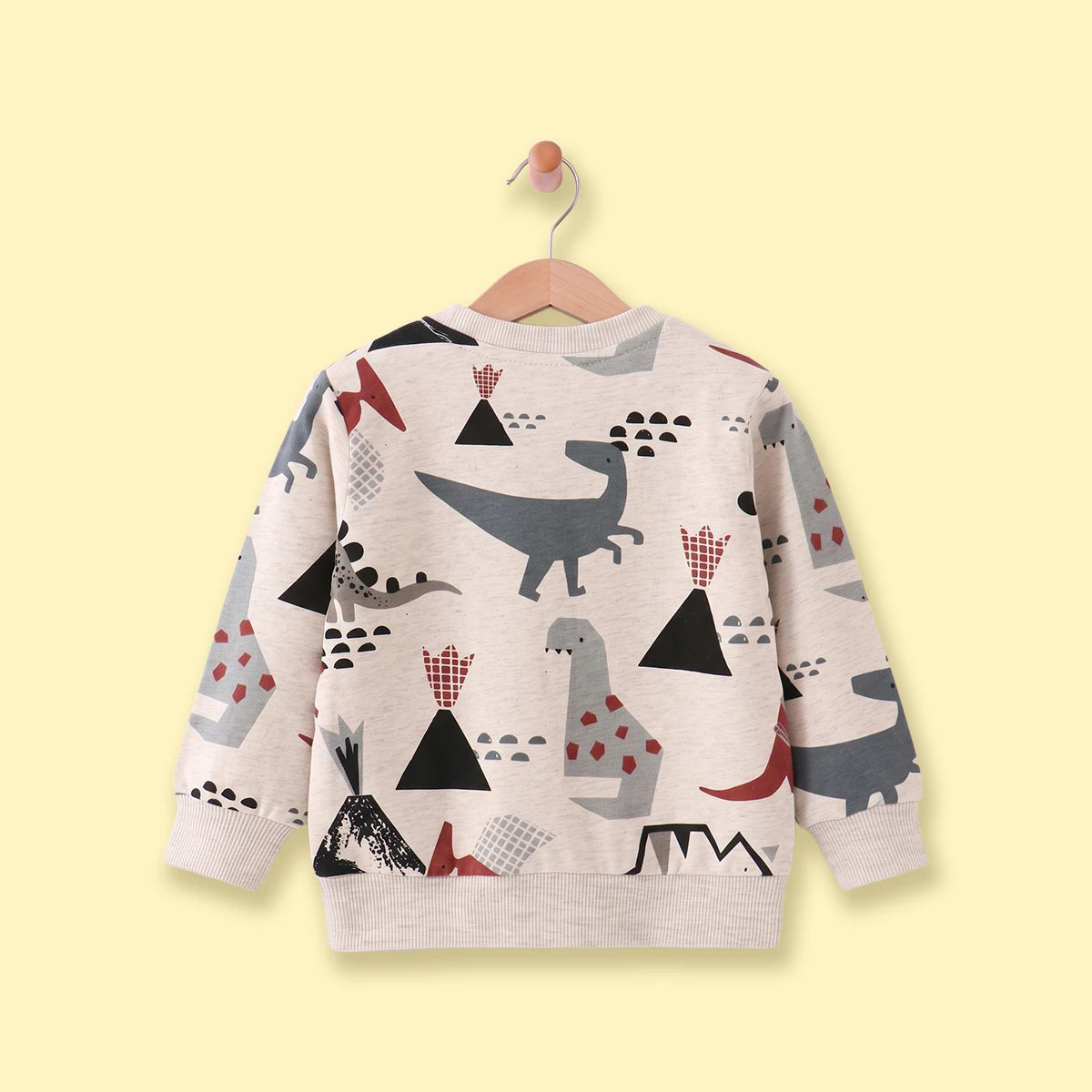 Boys Beige Graphic Long Sleeve Sweatshirt Sweatshirts & Hoodies