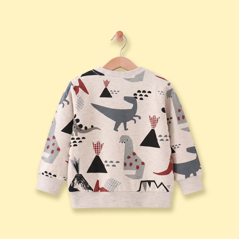 Boys Beige Graphic Long Sleeve Sweatshirt Sweatshirts & Hoodies