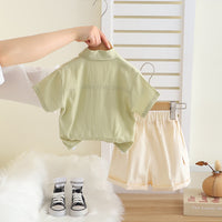 Boys Green Dinosaur Appliqued Shirt With T-Shirt Neck Tie And Shorts Set Sets